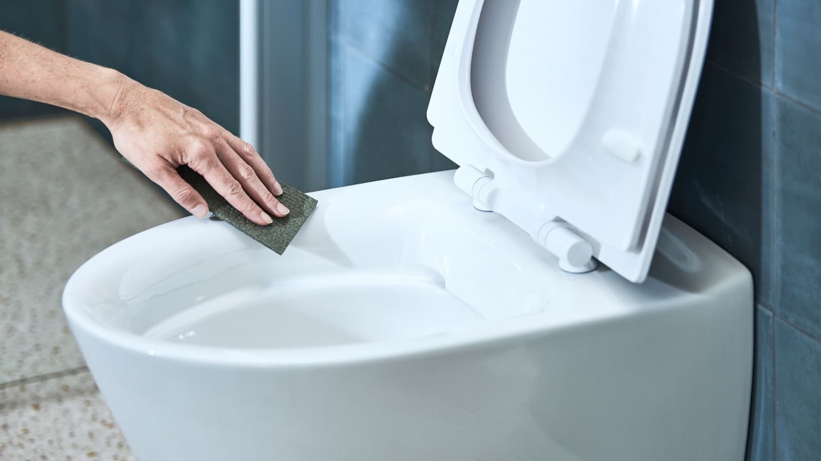 Ifö toilet Ifö toilet