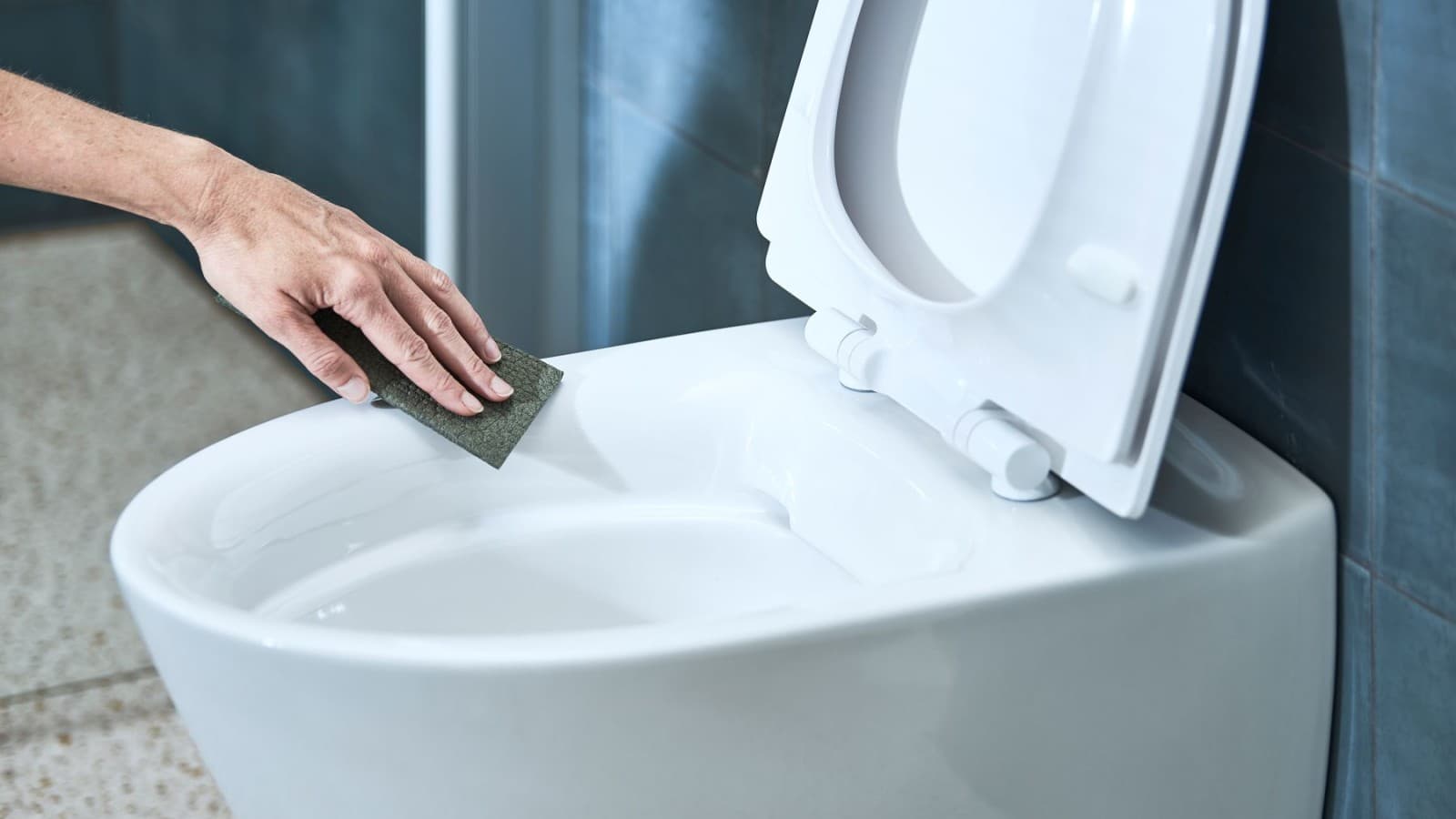 Ifö toilet Ifö toilet